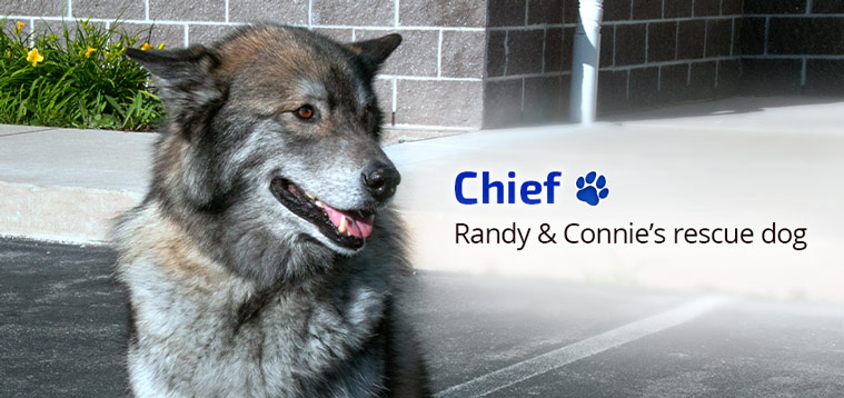 Chief - Randy & Connie's rescue dog